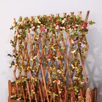 uploads/erp/collection/images/Home Garden/CongDing/XU0611379/img_b/XU0611379_img_b_4